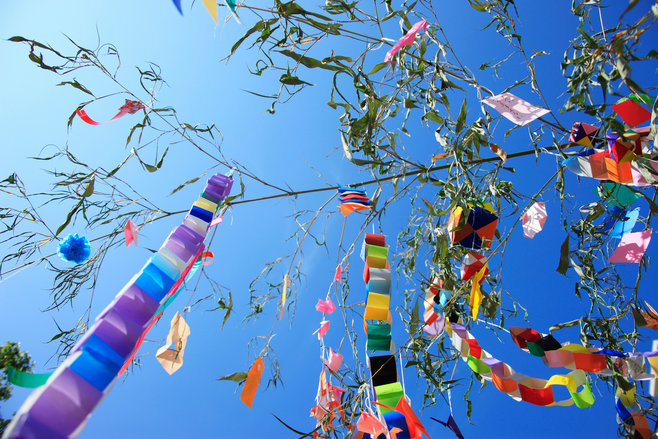 Tanabata Festival