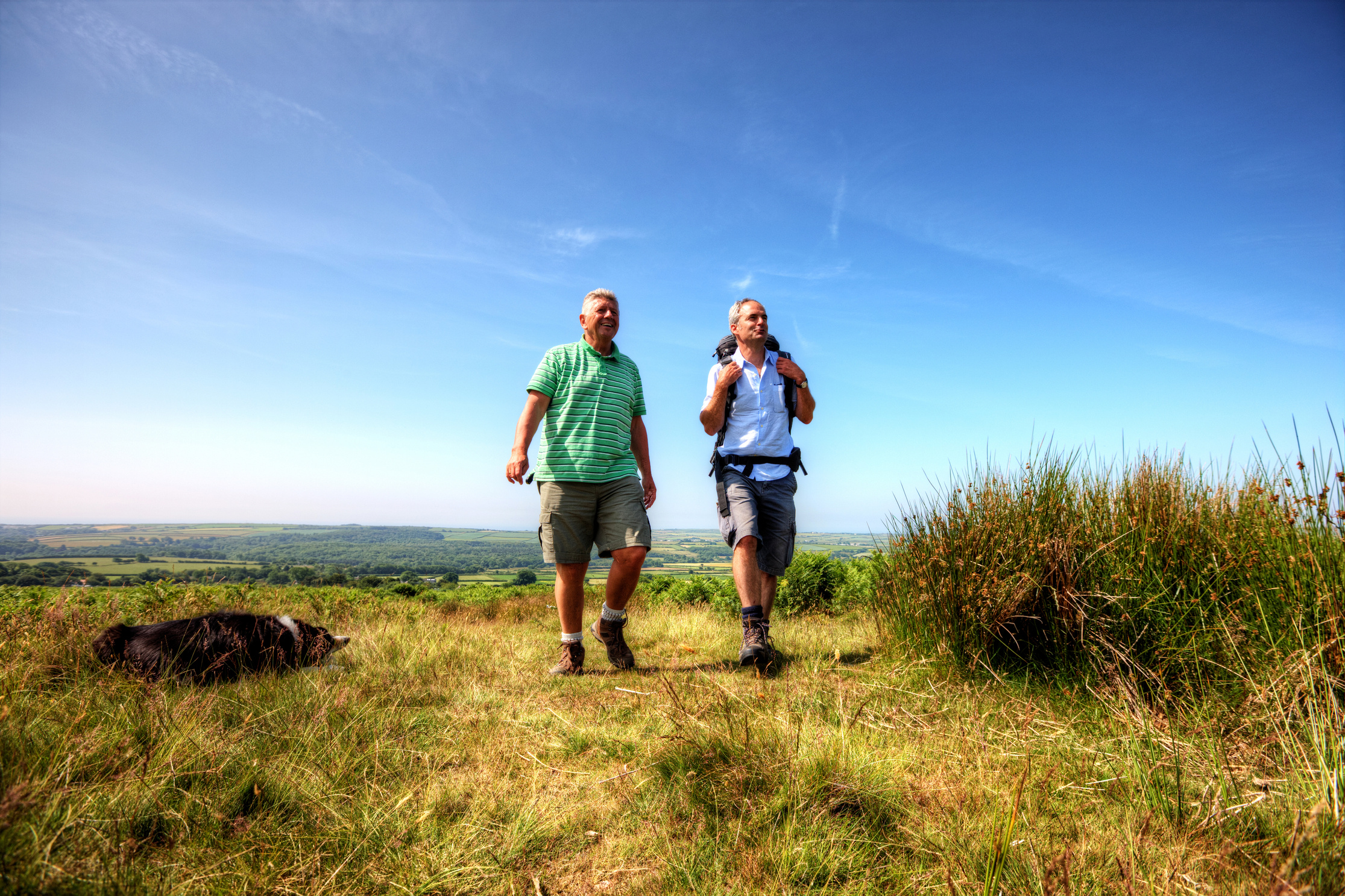 Two mature men hiking in countryside